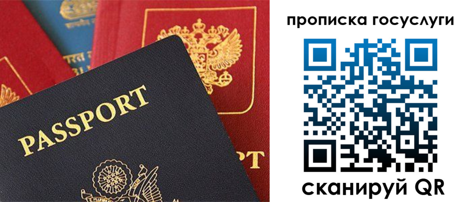 пропишу в квартире в Волоколамске